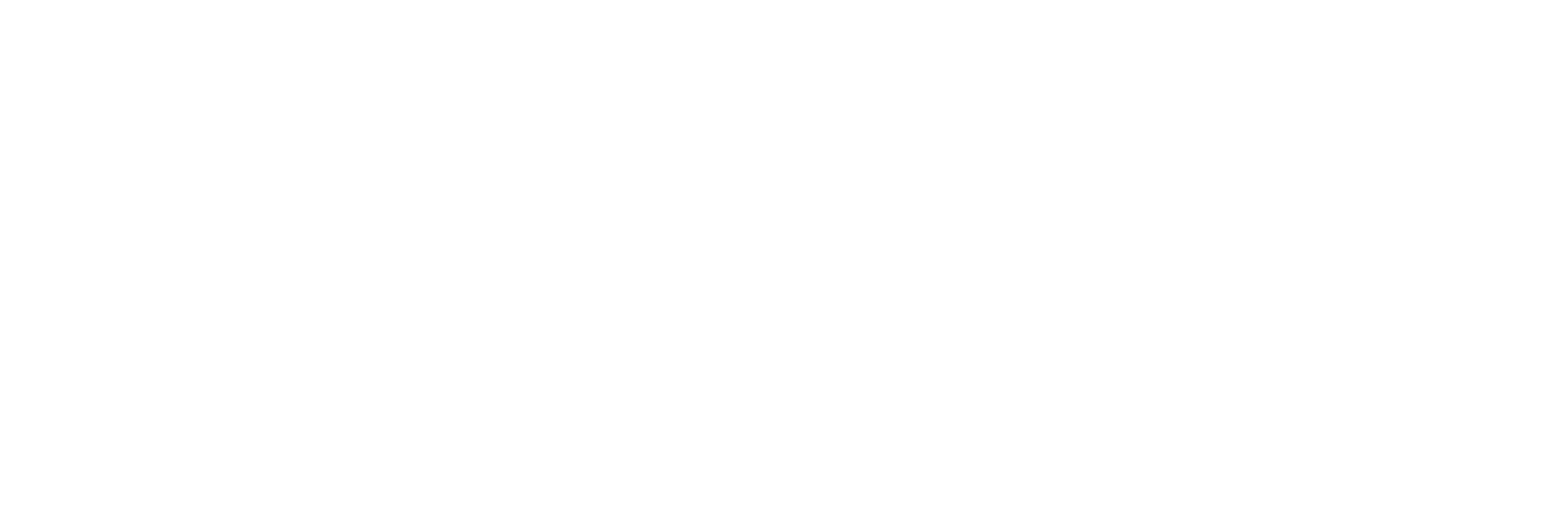 Reggie D. Ford Signature Logo White